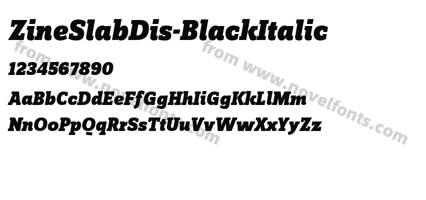 ZineSlabDis-BlackItalicPreview