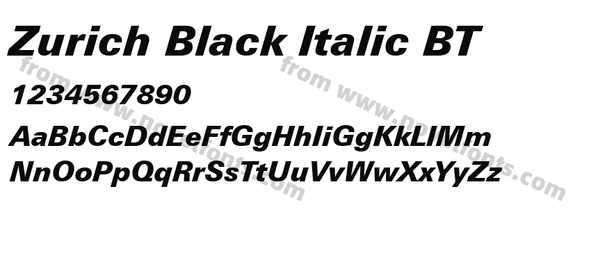 Zurich Black Italic BTPreview