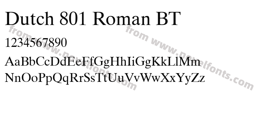 Dutch 801 Roman BTPreview