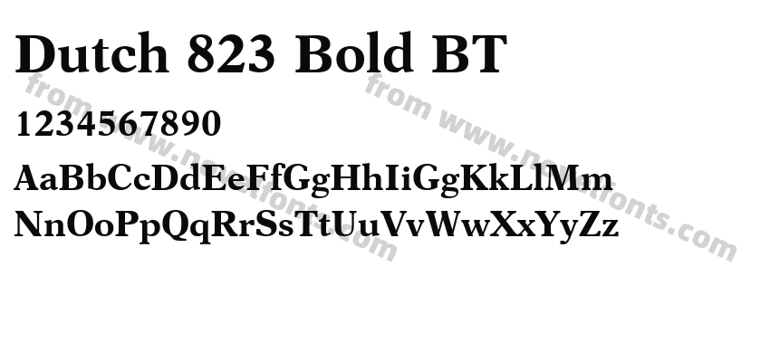 Dutch 823 Bold BTPreview