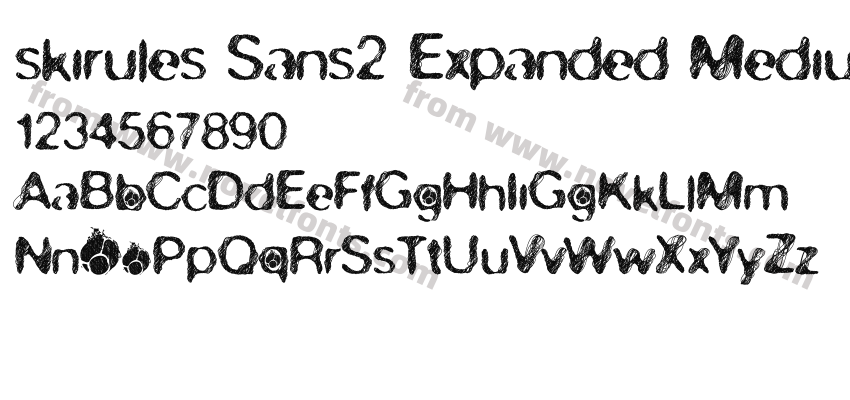 skirules-Sans2 Expanded MediumPreview