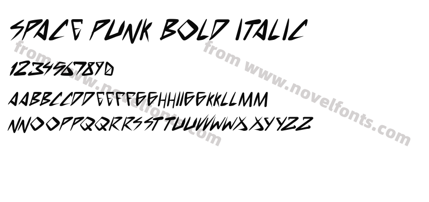 space punk Bold ItalicPreview