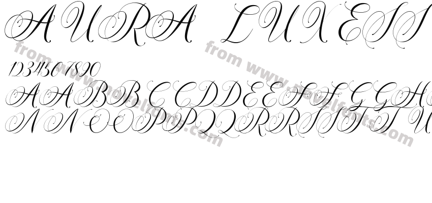 AURA LUXESS CalligraphyPreview