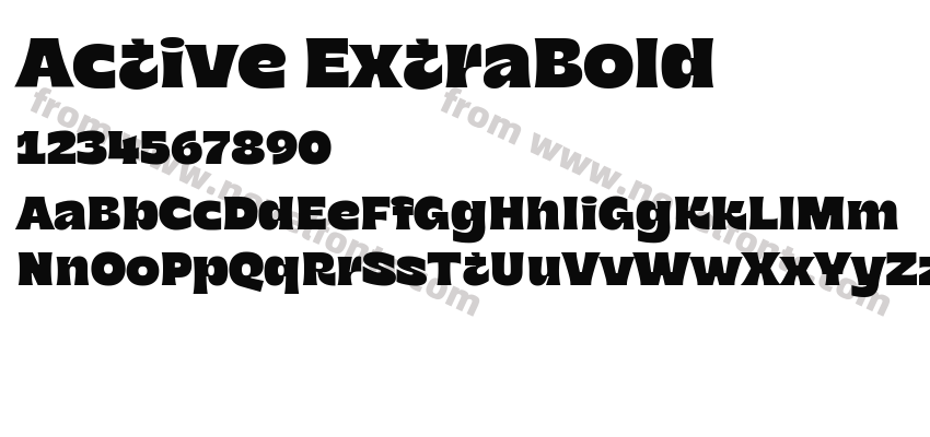 Active ExtraBoldPreview