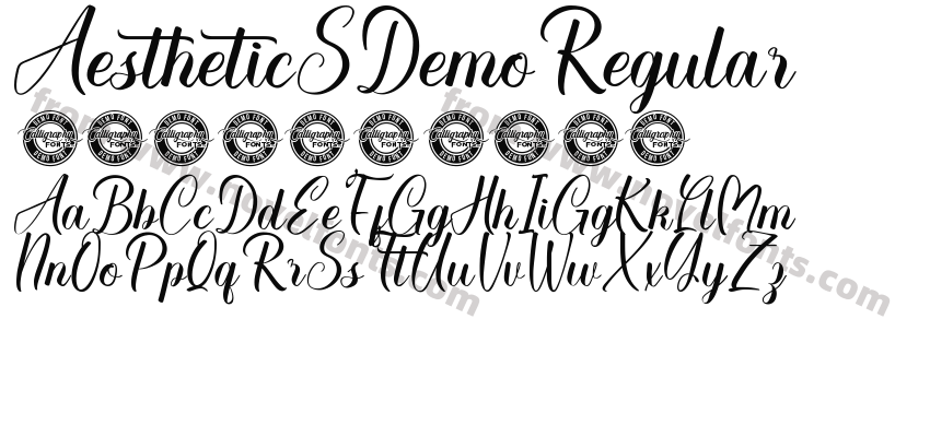 AestheticSDemoRegularPreview