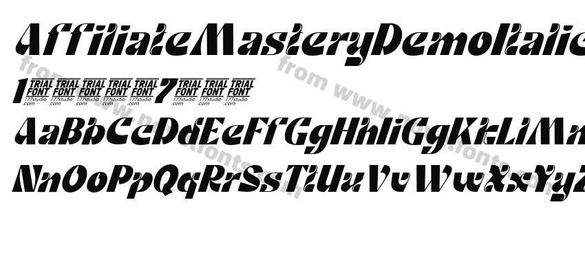 AffiliateMasteryDemoItalic-z8DW1Preview