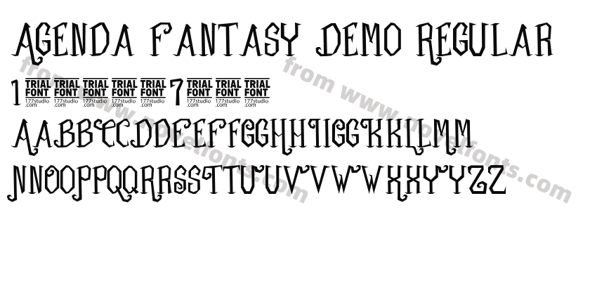 Agenda Fantasy Demo RegularPreview