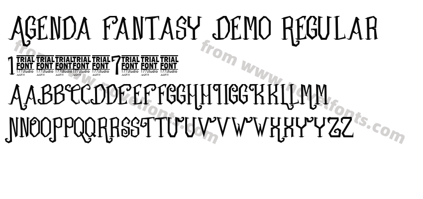 Agenda Fantasy Demo RegularPreview