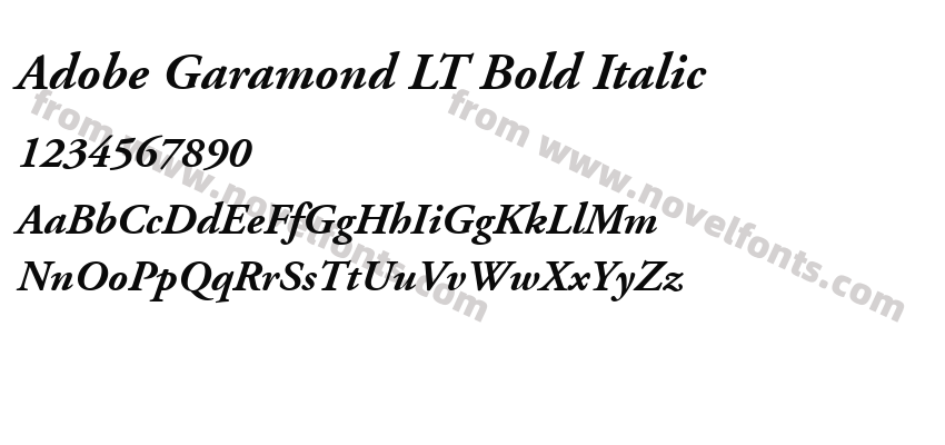 Adobe Garamond LT Bold ItalicPreview