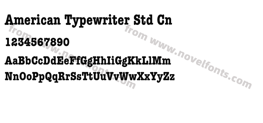 American Typewriter Std CnPreview