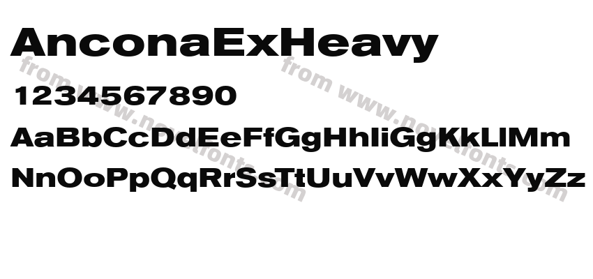 AnconaExHeavyPreview