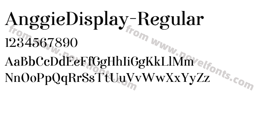 AnggieDisplay-RegularPreview