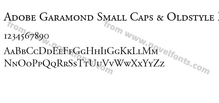 Adobe Garamond Small Caps & Oldstyle FiguresPreview