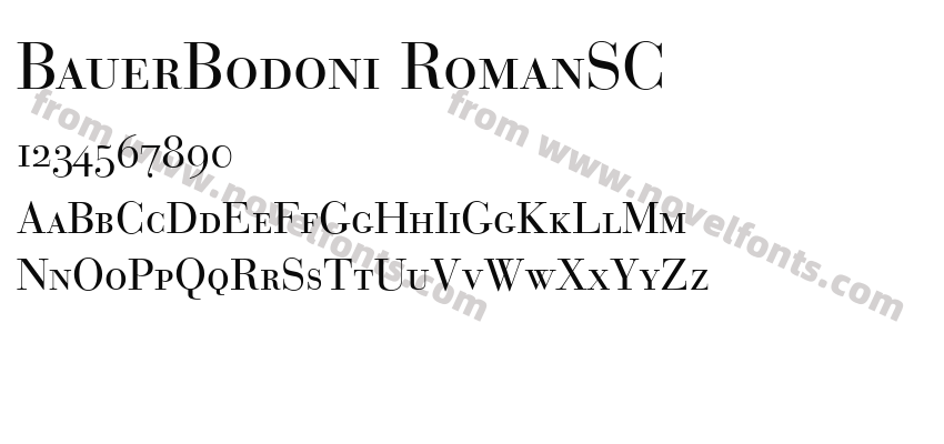 BauerBodoni RomanSCPreview