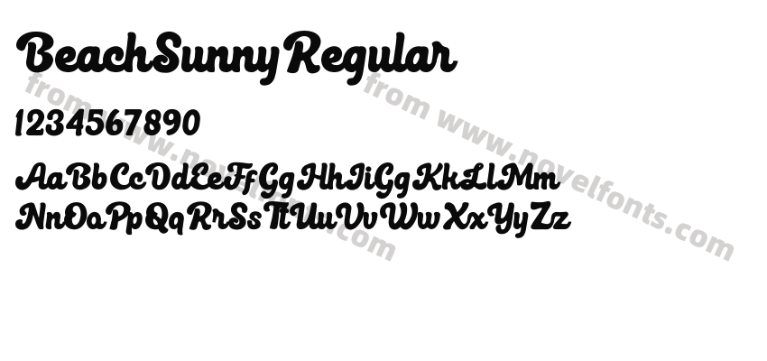 BeachSunnyRegularPreview