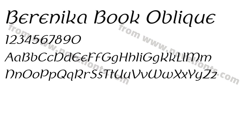 Berenika Book ObliquePreview