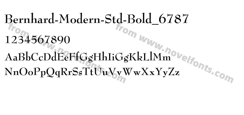 Bernhard-Modern-Std-Bold_6787Preview