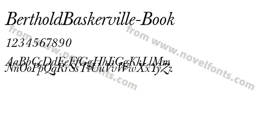 BertholdBaskerville-BookPreview