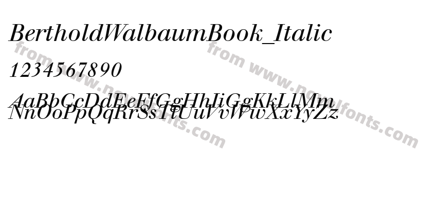 BertholdWalbaumBook_ItalicPreview