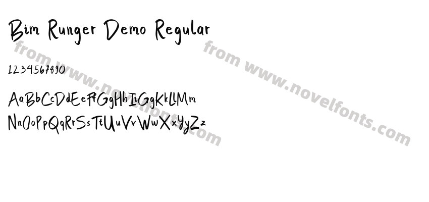 Bim Runger Demo RegularPreview