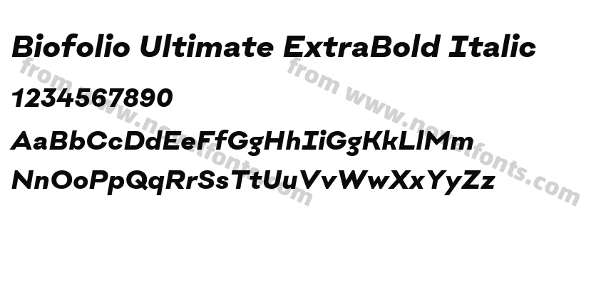 Biofolio Ultimate ExtraBold ItalicPreview