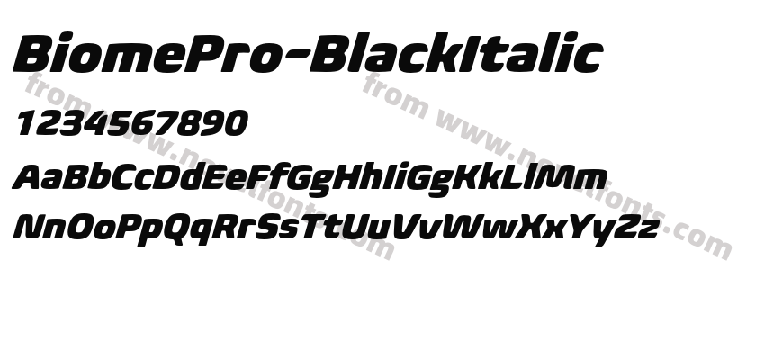 BiomePro-BlackItalicPreview