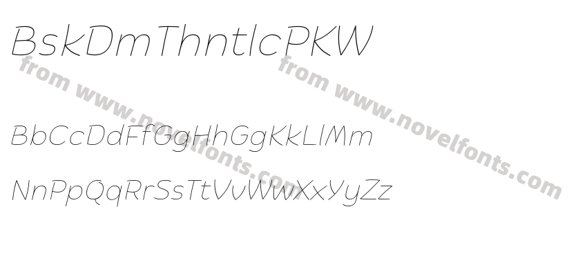 BiskiDemoThinItalic-PKW07Preview