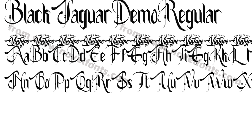 BlackJaguarDemoRegularPreview