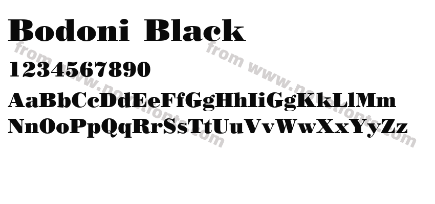 Bodoni BlackPreview