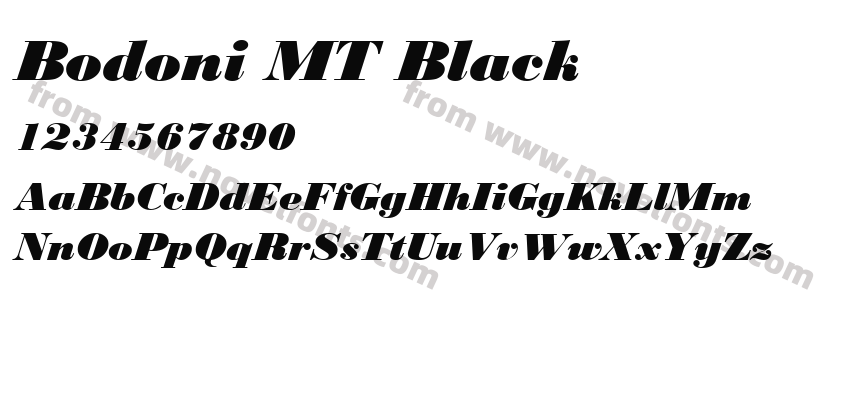 Bodoni MT BlackPreview