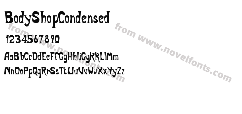 BodyShopCondensedPreview