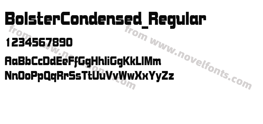 BolsterCondensed_RegularPreview