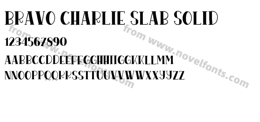 Bravo Charlie Slab SolidPreview