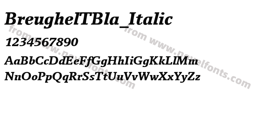 BreughelTBla_ItalicPreview