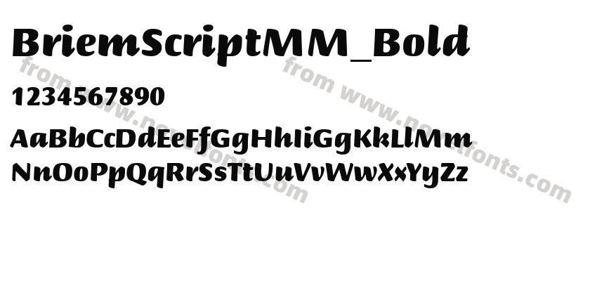 BriemScriptMM_BoldPreview