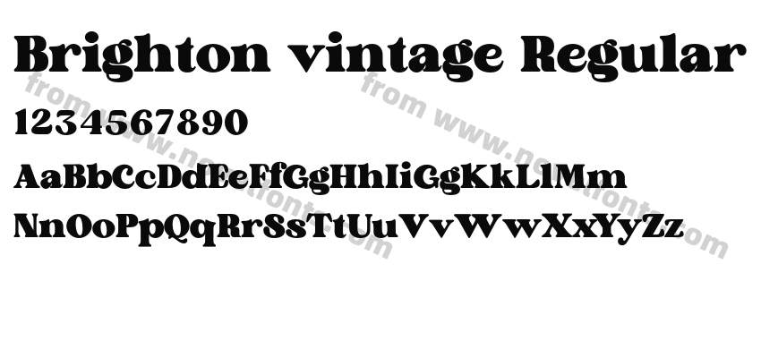 Brighton vintage RegularPreview