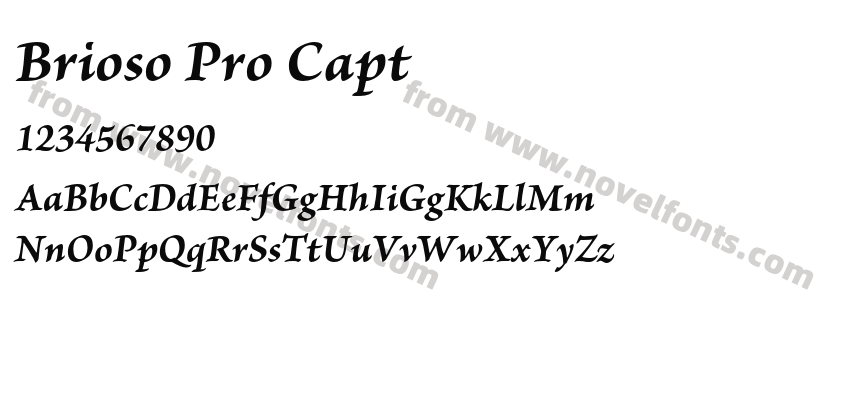 Brioso Pro CaptPreview