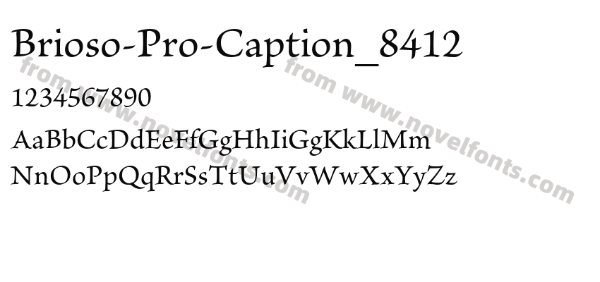 Brioso-Pro-Caption_8412Preview