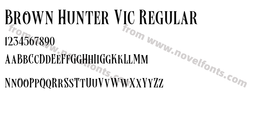 Brown Hunter Vic RegularPreview