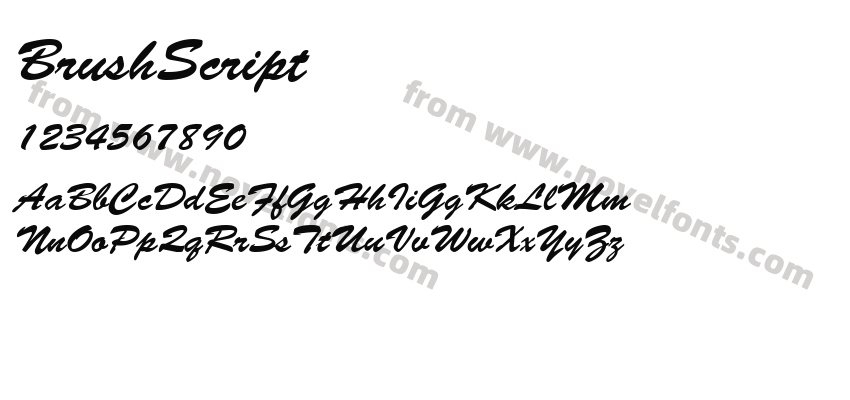 BrushScriptPreview