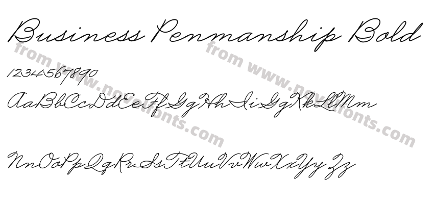 Business Penmanship BoldPreview