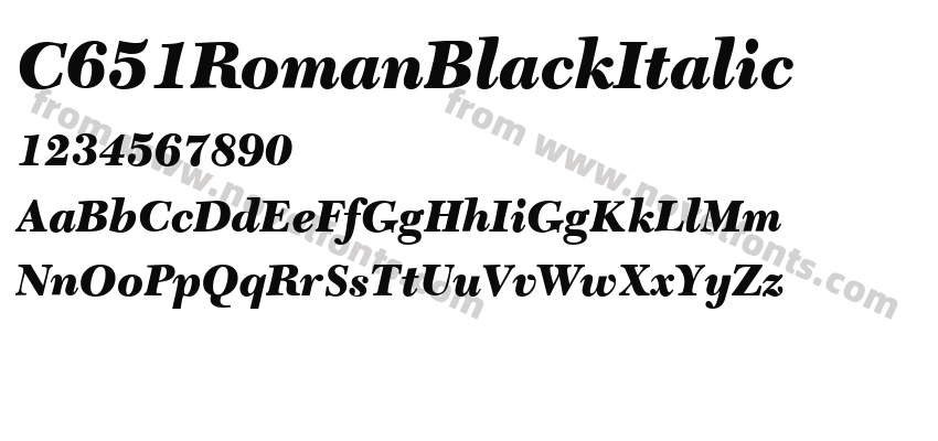 C651RomanBlackItalicPreview