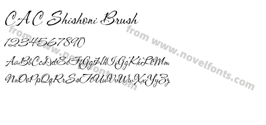 CAC Shishoni BrushPreview