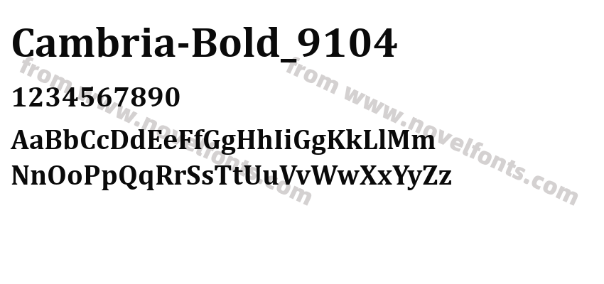 Cambria-Bold_9104Preview