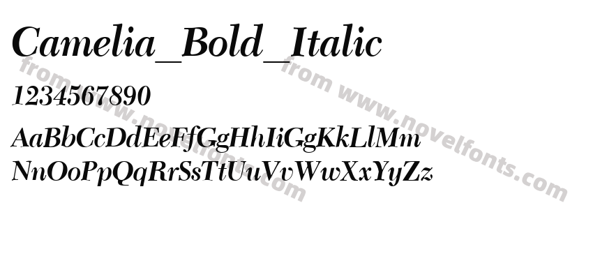 Camelia_Bold_ItalicPreview