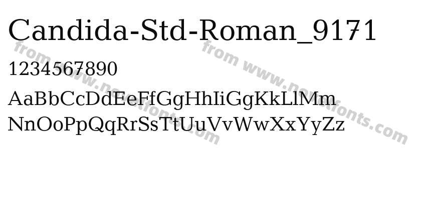 Candida-Std-Roman_9171Preview