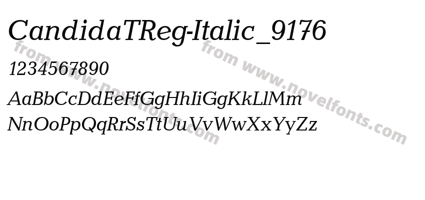 CandidaTReg-Italic_9176Preview