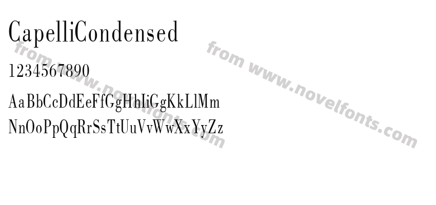 CapelliCondensedPreview