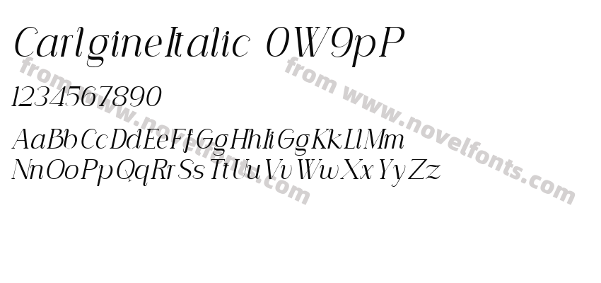 CarlgineItalic-0W9pPPreview