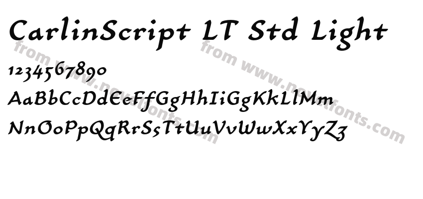 CarlinScript LT Std LightPreview